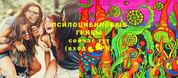 PSILOCYBIN Красноперекопск