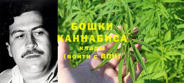 PSILOCYBIN Красноперекопск